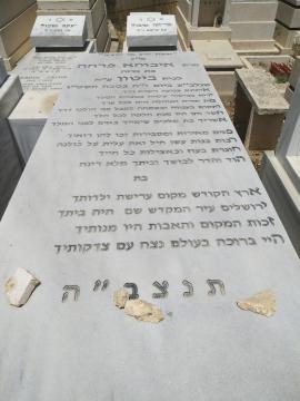 תמונת מצבה