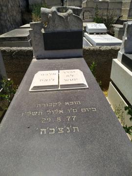 תמונת מצבה