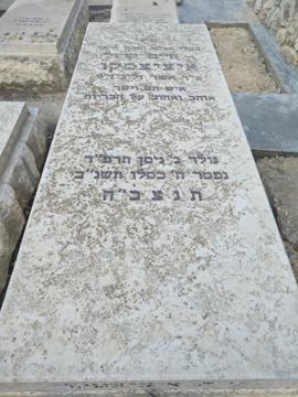 תמונת מצבה