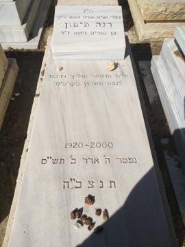 תמונת מצבה