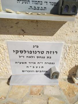 תמונת מצבה