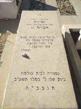 תמונת מצבה