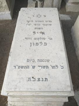 תמונת מצבה