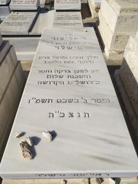 תמונת מצבה