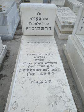 תמונת מצבה