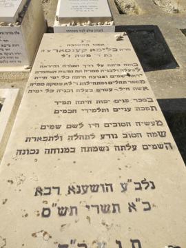 תמונת מצבה