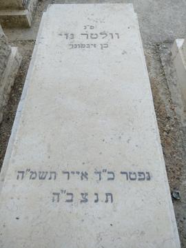 תמונת מצבה