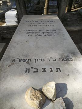 תמונת מצבה