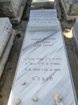 תמונת מצבה