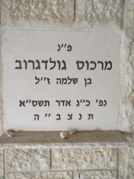 תמונת מצבה