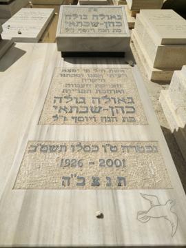 תמונת מצבה