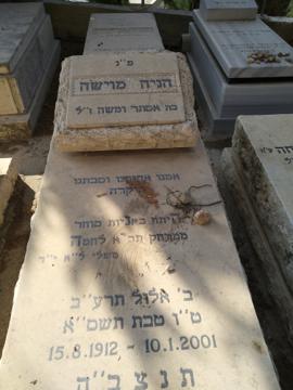 תמונת מצבה