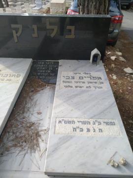תמונת מצבה