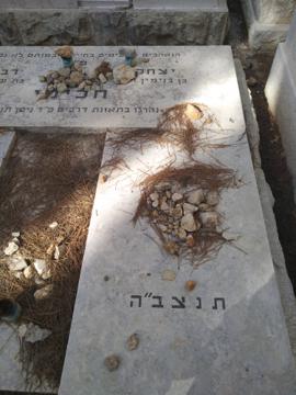 תמונת מצבה