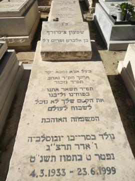 תמונת מצבה