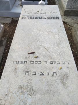 תמונת מצבה