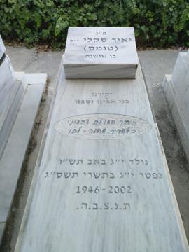 תמונת מצבה