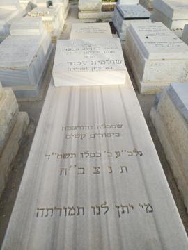 תמונת מצבה