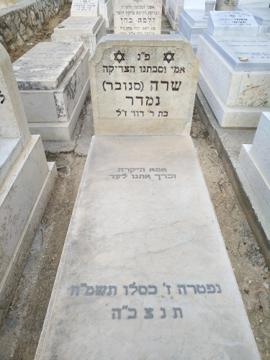 תמונת מצבה