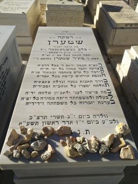 תמונת מצבה