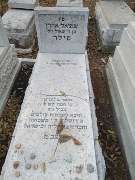 תמונת מצבה