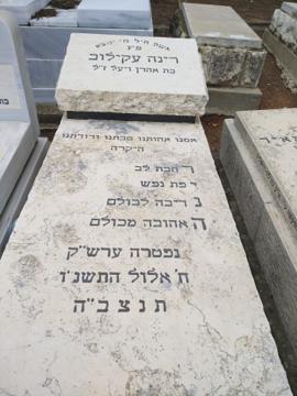 תמונת מצבה