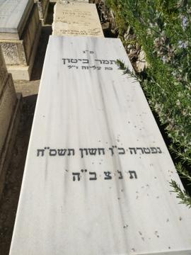 תמונת מצבה