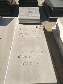 תמונת מצבה