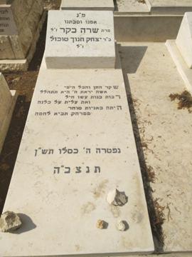 תמונת מצבה