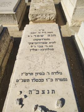 תמונת מצבה