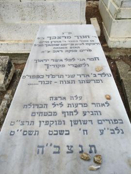 תמונת מצבה