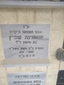 תמונת מצבה