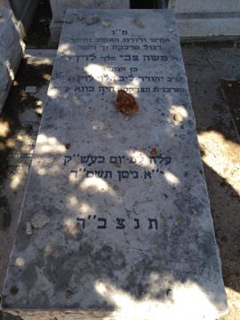 תמונת מצבה