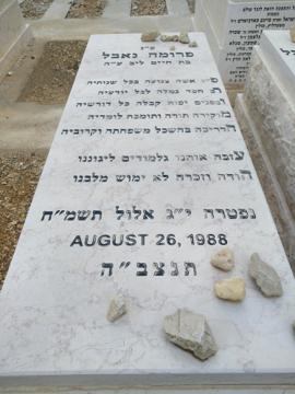 תמונת מצבה
