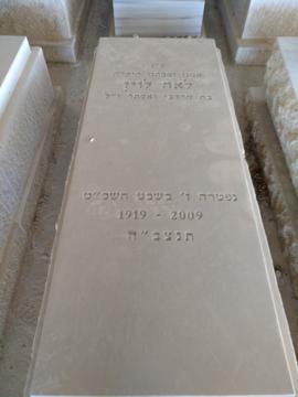 תמונת מצבה