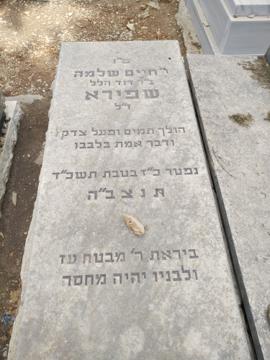 תמונת מצבה