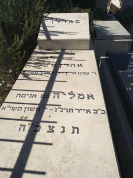 תמונת מצבה