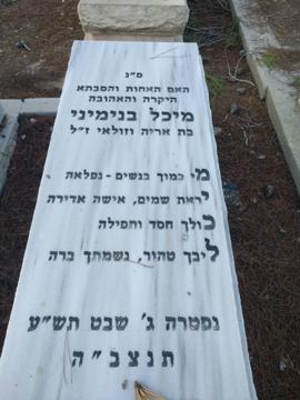 תמונת מצבה