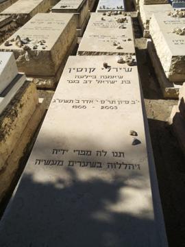 תמונת מצבה