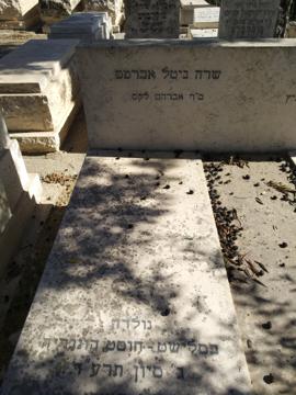 תמונת מצבה