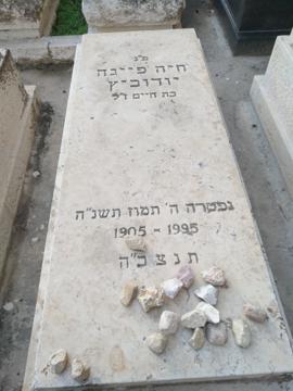 תמונת מצבה