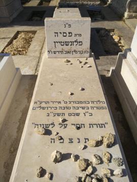תמונת מצבה