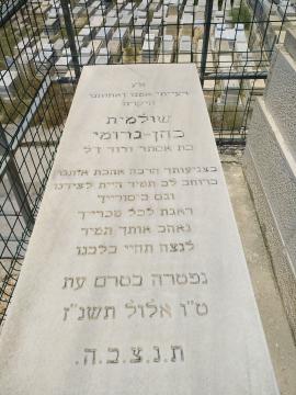 תמונת מצבה