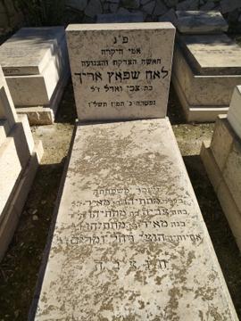 תמונת מצבה