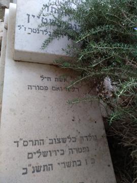 תמונת מצבה