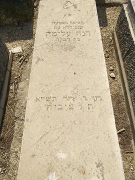 תמונת מצבה