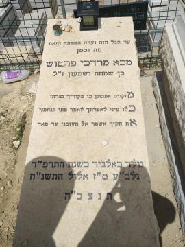 תמונת מצבה