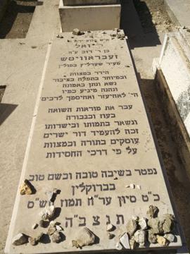תמונת מצבה