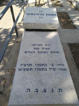 תמונת מצבה