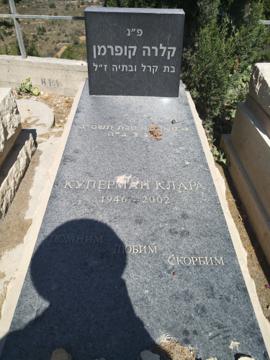 תמונת מצבה